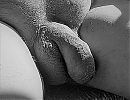 B&W close up., foto 1050x810, 2 reacties, 4 stemmen