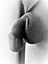 B&W close up., foto 1932x2576, 2 reacties, 8 stemmen
