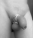 B&W met ringen., foto 1915x2179, 2 reacties, 8 stemmen