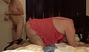 Baardmeester zweept Lucy, foto 1512x889, 1 reacties, 17 stemmen