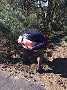 Bibi BBW Lustslettje, foto 3000x4000, 1 reacties, 24 stemmen