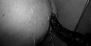 Black & White, foto 4000x2071, 14 reacties, 129 stemmen
