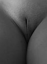Black and White, foto 369x492, 3 reacties, 24 stemmen