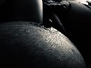 Black magic., foto 1280x960, 28 reacties, 110 stemmen
