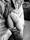 Black nd white, foto 3000x4000, 2 reacties, 4 stemmen