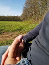 Blijf heerlijk om te doen, foto 3000x4000, 4 reacties, 22 stemmen