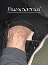 Boswachter op verkenning, foto 3000x4000, 4 reacties, 35 stemmen