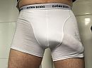 Boxer te klein?, foto 2576x1932, 8 reacties, 21 stemmen