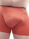 Boxer, foto 2472x3296, 7 reacties, 21 stemmen