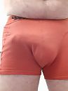 Boxer, foto 2472x3296, 6 reacties, 21 stemmen