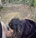 Buitenwandeling, foto 900x956, 3 reacties, 44 stemmen