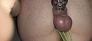 Caged again!, foto 4000x1801, 0 reacties, 9 stemmen