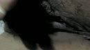 Close up, film 00:00:00, 6 reacties, 35 stemmen
