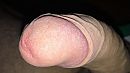 Close-up, foto 2968x1668, 2 reacties, 6 stemmen
