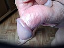 Close up, foto 4000x3000, 1 reacties, 2 stemmen