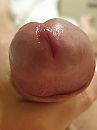 Close up, foto 3000x4000, 4 reacties, 12 stemmen