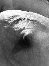 Close up., foto 480x640, 40 reacties, 142 stemmen