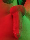 Colors, foto 3000x4000, 1 reacties, 2 stemmen
