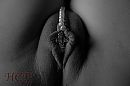Crucified, foto 1400x933, 6 reacties, 45 stemmen