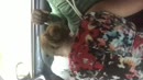 Cuckold, film 00:00:14, 11 reacties, 187 stemmen