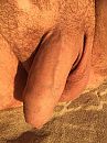 Dat warme zonnetje op me., foto 2448x3264, 0 reacties, 4 stemmen