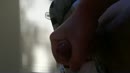 Dauwtrappen, film 00:00:21, 1 reacties, 9 stemmen
