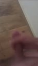 De laatste voor vandaag!, film 00:00:14, 4 reacties, 16 stemmen