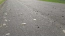 De terugweg..., film 00:00:00, 10 reacties, 35 stemmen