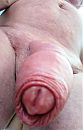 Deze morgen, foto 1778x2775, 3 reacties, 4 stemmen