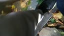 Diep zuigen, film 00:00:24, 8 reacties, 42 stemmen
