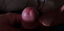 Dit zal niet lang duren, foto 4000x1943, 1 reacties, 2 stemmen