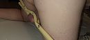 Diy humbler, foto 4000x1801, 0 reacties, 4 stemmen