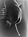 Druppeltje., foto 564x745, 7 reacties, 11 stemmen