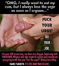 Dus dat......, foto 500x553, 7 reacties, 14 stemmen