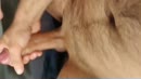 Een flinke ontlading, film 00:00:00, 27 reacties, 91 stemmen
