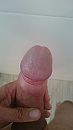 Eikel, foto 2160x3840, 0 reacties, 2 stemmen