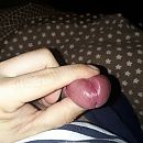 Eikel, foto 2160x2160, 1 reacties, 9 stemmen
