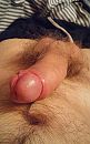 Eikel, foto 1286x2048, 2 reacties, 2 stemmen