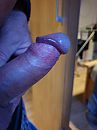 Eikeltje, foto 3000x4000, 6 reacties, 14 stemmen