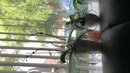 En toen kwam de, film 00:00:09, 0 reacties, 6 stemmen