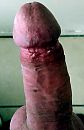 Er weer klaar voor, foto 2256x3456, 0 reacties, 2 stemmen