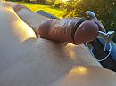 Estim, foto 4000x3000, 13 reacties, 31 stemmen