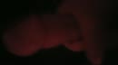 Even lekker genieten, film 00:00:22, 5 reacties, 31 stemmen
