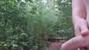 Even rondje bos, film 00:00:19, 4 reacties, 24 stemmen