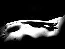 Even de artistieke toer op, foto 4000x3000, 8 reacties, 45 stemmen