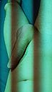 Ff bij kleuren, foto 2250x4000, 0 reacties, 1 stemmen