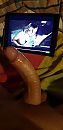 Ff zelfbediening, foto 1943x4000, 0 reacties, 0 stemmen