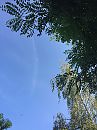 Foto view up!, foto 2448x3264, 0 reacties, 7 stemmen