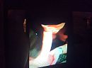 Fun, foto 2592x1936, 5 reacties, 5 stemmen