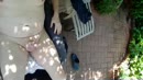 Garden paradise ., film 00:00:25, 2 reacties, 7 stemmen